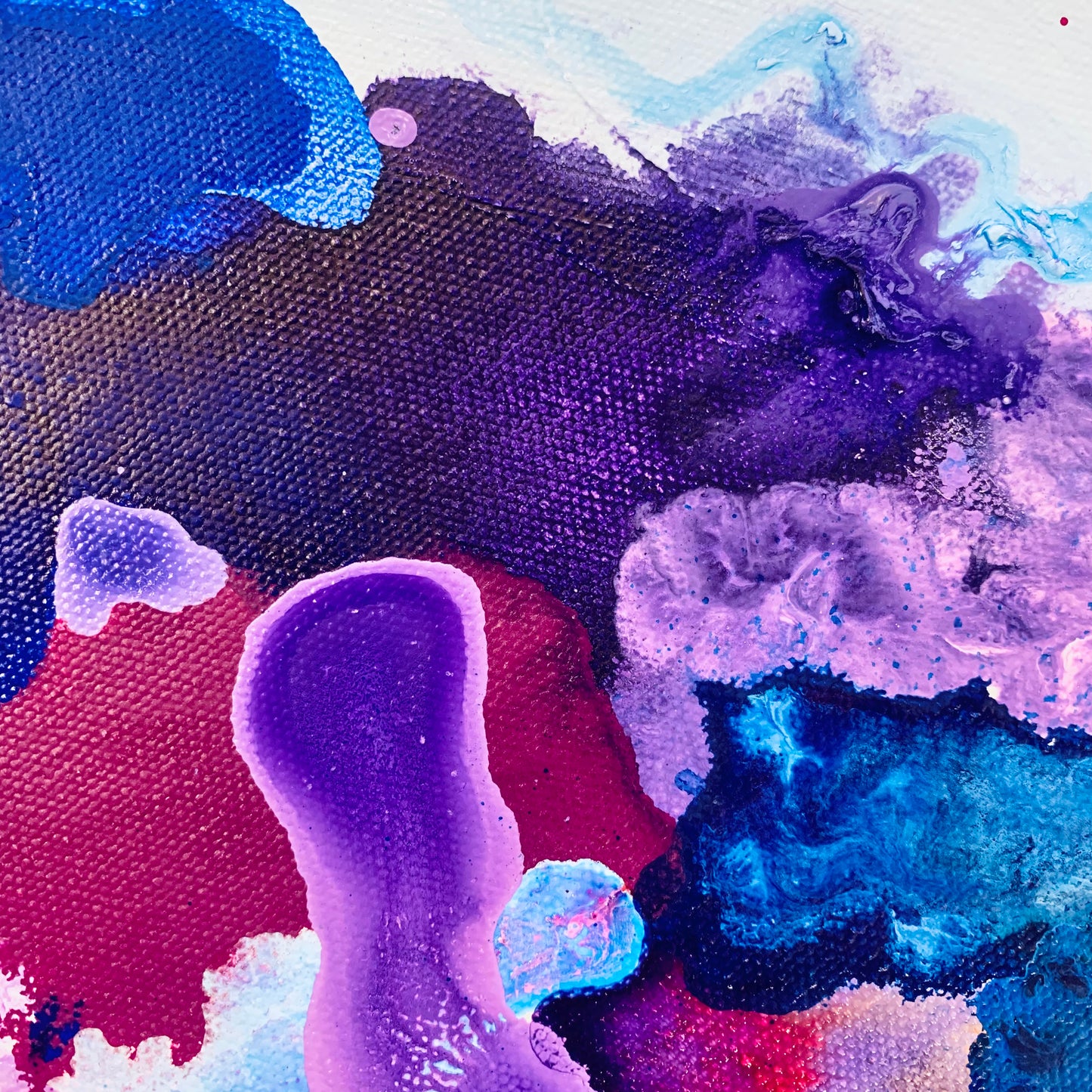Indigo Reef